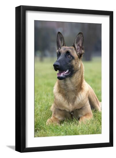 Photographic Print, , large