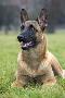 Just the Print