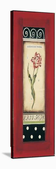 Belgian Tulip I-Kimberly Poloson-Stretched Canvas