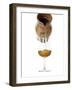 Belgium Beer-Fabio Petroni-Framed Photographic Print