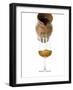 Belgium Beer-Fabio Petroni-Framed Photographic Print