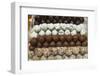 Belgium, Bruges. Belgian chocolate shop-Walter Bibikow-Framed Photographic Print