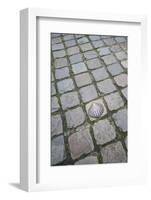 Belgium, Bruges. Bronze seashell marking of the Camino de Santiago.-Walter Bibikow-Framed Photographic Print