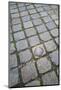 Belgium, Bruges. Bronze seashell marking of the Camino de Santiago.-Walter Bibikow-Mounted Photographic Print