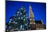 Belgium, Brussels. Grand Place, Holiday lights with a Christmas tree-Walter Bibikow-Mounted Photographic Print