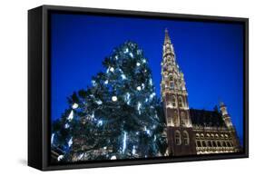 Belgium, Brussels. Grand Place, Holiday lights with a Christmas tree-Walter Bibikow-Framed Stretched Canvas
