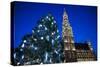 Belgium, Brussels. Grand Place, Holiday lights with a Christmas tree-Walter Bibikow-Stretched Canvas