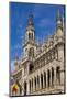 Belgium, Brussels. Grand Place, Maison du Roi-Walter Bibikow-Mounted Photographic Print