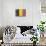 Belgium Country Flag - Barnwood Painting-Lantern Press-Art Print displayed on a wall