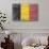 Belgium Country Flag - Barnwood Painting-Lantern Press-Art Print displayed on a wall