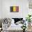 Belgium Country Flag - Barnwood Painting-Lantern Press-Framed Stretched Canvas displayed on a wall