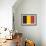 Belgium Country Flag - Letterpress-Lantern Press-Framed Art Print displayed on a wall