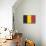 Belgium Country Flag - Letterpress-Lantern Press-Mounted Art Print displayed on a wall