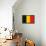 Belgium Flag Design with Wood Patterning - Flags of the World Series-Philippe Hugonnard-Framed Stretched Canvas displayed on a wall