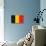 Belgium Flag Design with Wood Patterning - Flags of the World Series-Philippe Hugonnard-Stretched Canvas displayed on a wall