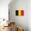 Belgium Flag Design with Wood Patterning - Flags of the World Series-Philippe Hugonnard-Stretched Canvas displayed on a wall