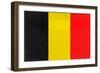 Belgium Flag Design with Wood Patterning - Flags of the World Series-Philippe Hugonnard-Framed Art Print