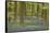 Belgium, Flanders, Hallerbos, Beech Forest, Copper Beeches-Andreas Keil-Framed Stretched Canvas