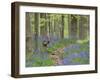 Belgium, Flanders, 'Hallerbos' (Forest), Roe Deer, Capreolus Capreolus-Andreas Keil-Framed Photographic Print