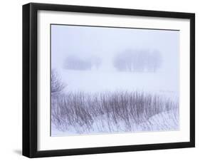 Belgium, High Fens, Hautes Fagnes, High Fens-Eifel Nature Park, Winter-Andreas Keil-Framed Photographic Print