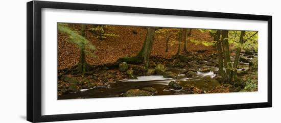 Belgium, High Fens, Hautes Fagnes, Nature Reserve High Fens-Eifel, Hoegne Gorge in Autumn-Andreas Keil-Framed Photographic Print