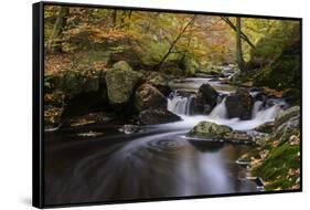 Belgium, High Fens, Hautes Fagnes, Nature Reserve High Fens-Eifel, Hoegne Gorge in Autumn-Andreas Keil-Framed Stretched Canvas