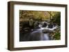 Belgium, High Fens, Hautes Fagnes, Nature Reserve High Fens-Eifel, Hoegne Gorge in Autumn-Andreas Keil-Framed Photographic Print