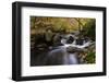 Belgium, High Fens, Hautes Fagnes, Nature Reserve High Fens-Eifel, Hoegne Gorge in Autumn-Andreas Keil-Framed Photographic Print