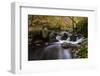 Belgium, High Fens, Hautes Fagnes, Nature Reserve High Fens-Eifel, Hoegne Gorge in Autumn-Andreas Keil-Framed Photographic Print