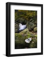 Belgium, High Fens, Hautes Fagnes, Nature Reserve High Fens-Eifel, Hoegne Gorge in Autumn-Andreas Keil-Framed Photographic Print