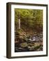 Belgium, High Fens, Hautes Fagnes, Nature Reserve High Fens-Eifel, Hoegne Gorge in Autumn-Andreas Keil-Framed Photographic Print