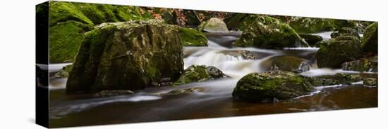 Belgium, High Fens, Hautes Fagnes, Nature Reserve High Fens-Eifel, Tros Marets Brook-Andreas Keil-Stretched Canvas