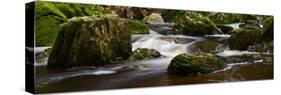 Belgium, High Fens, Hautes Fagnes, Nature Reserve High Fens-Eifel, Tros Marets Brook-Andreas Keil-Stretched Canvas