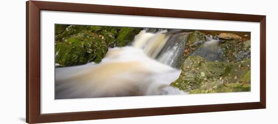 Belgium, High Fens, Hautes Fagnes, Nature Reserve High Fens-Eifel, Tros Marets Brook-Andreas Keil-Framed Photographic Print