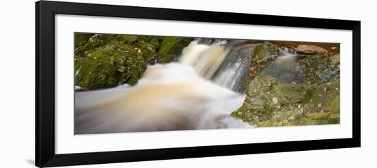 Belgium, High Fens, Hautes Fagnes, Nature Reserve High Fens-Eifel, Tros Marets Brook-Andreas Keil-Framed Photographic Print