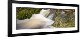 Belgium, High Fens, Hautes Fagnes, Nature Reserve High Fens-Eifel, Tros Marets Brook-Andreas Keil-Framed Photographic Print