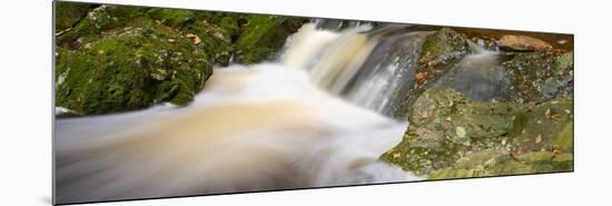 Belgium, High Fens, Hautes Fagnes, Nature Reserve High Fens-Eifel, Tros Marets Brook-Andreas Keil-Mounted Photographic Print