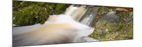 Belgium, High Fens, Hautes Fagnes, Nature Reserve High Fens-Eifel, Tros Marets Brook-Andreas Keil-Mounted Photographic Print