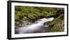 Belgium, High Fens, Hautes Fagnes, Nature Reserve High Fens-Eifel, Tros Marets Brook-Andreas Keil-Framed Photographic Print