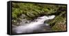 Belgium, High Fens, Hautes Fagnes, Nature Reserve High Fens-Eifel, Tros Marets Brook-Andreas Keil-Framed Stretched Canvas