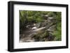 Belgium, High Fens, Hautes Fagnes, Tros Marets Brook-Andreas Keil-Framed Photographic Print