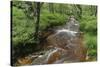 Belgium, High Fens, High Fens-Eifel Nature Park-Andreas Keil-Stretched Canvas