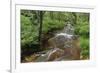 Belgium, High Fens, High Fens-Eifel Nature Park-Andreas Keil-Framed Photographic Print