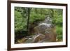 Belgium, High Fens, High Fens-Eifel Nature Park-Andreas Keil-Framed Photographic Print