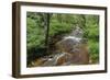 Belgium, High Fens, High Fens-Eifel Nature Park-Andreas Keil-Framed Photographic Print