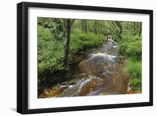 Belgium, High Fens, High Fens-Eifel Nature Park-Andreas Keil-Framed Photographic Print