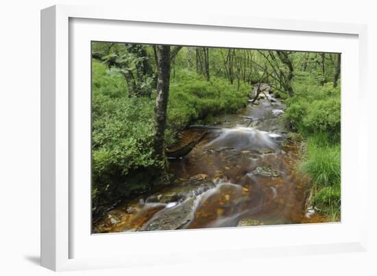 Belgium, High Fens, High Fens-Eifel Nature Park-Andreas Keil-Framed Photographic Print