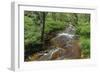 Belgium, High Fens, High Fens-Eifel Nature Park-Andreas Keil-Framed Photographic Print