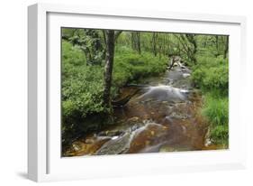 Belgium, High Fens, High Fens-Eifel Nature Park-Andreas Keil-Framed Photographic Print