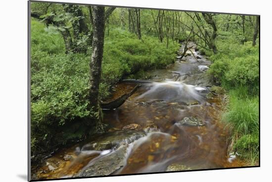 Belgium, High Fens, High Fens-Eifel Nature Park-Andreas Keil-Mounted Photographic Print